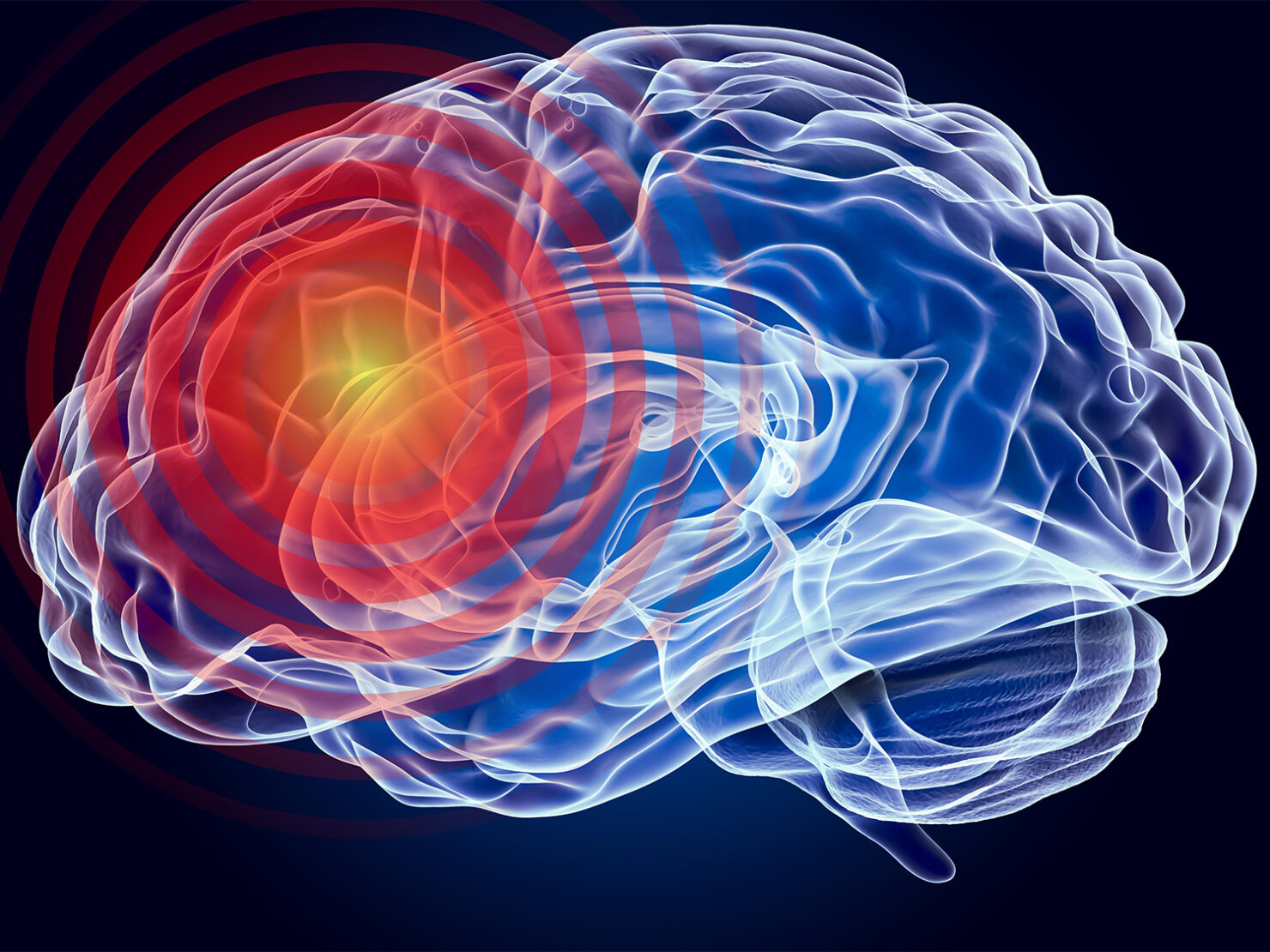 Reimagining Chronic Pain: The David Borsook Project