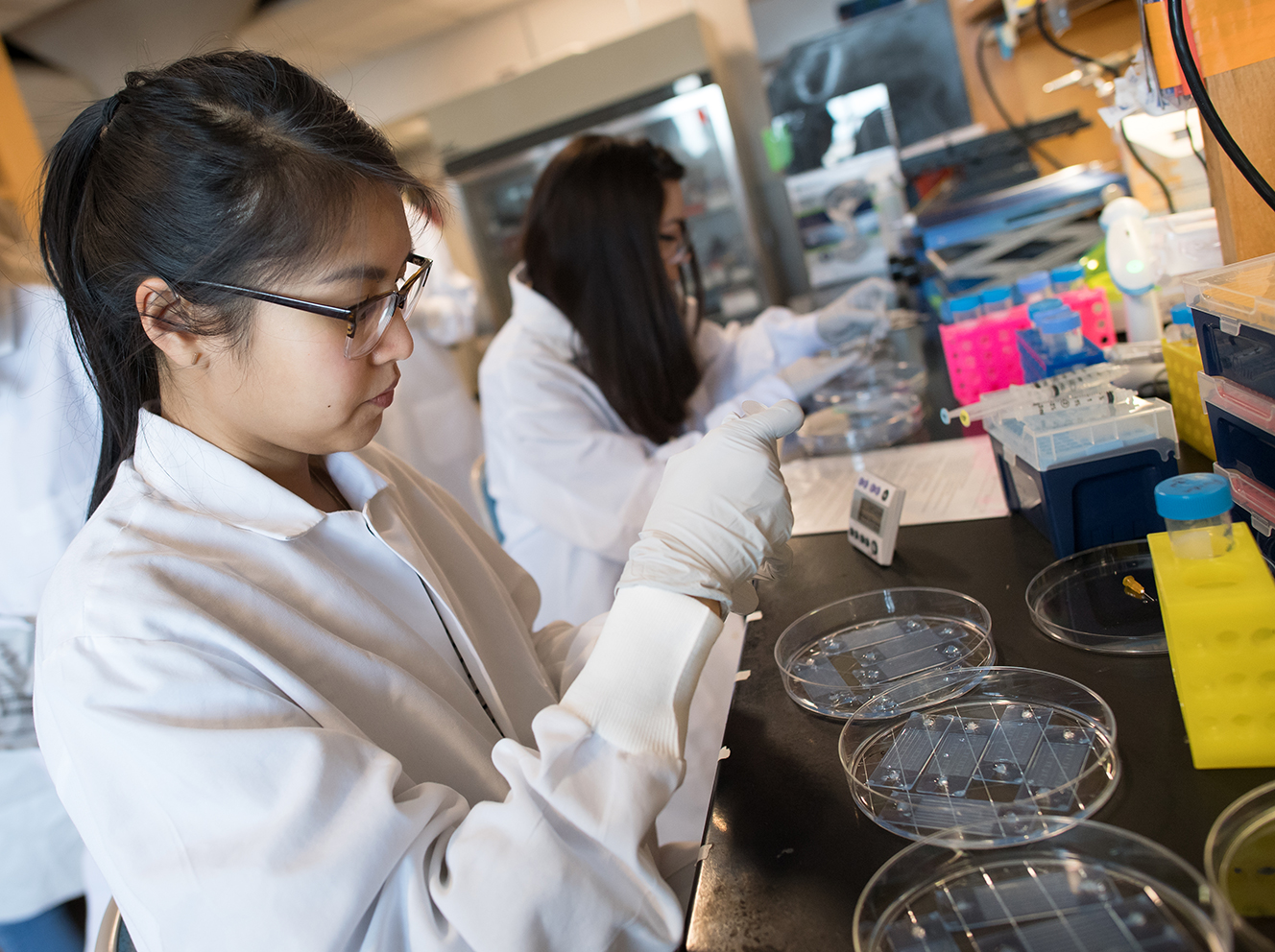 Honoring Trailblazing Innovation in the Krantz Family Center for Cancer Research