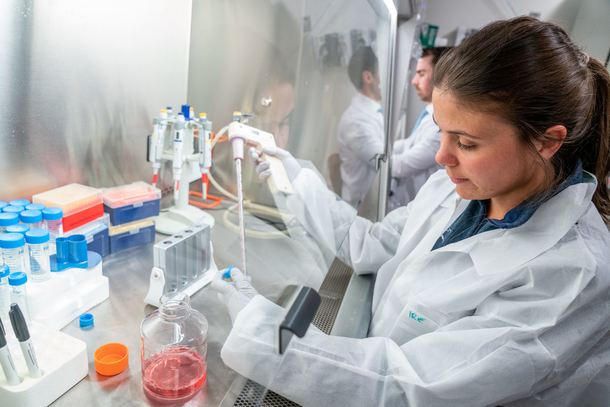 Dr. Irene Scarfo doing research