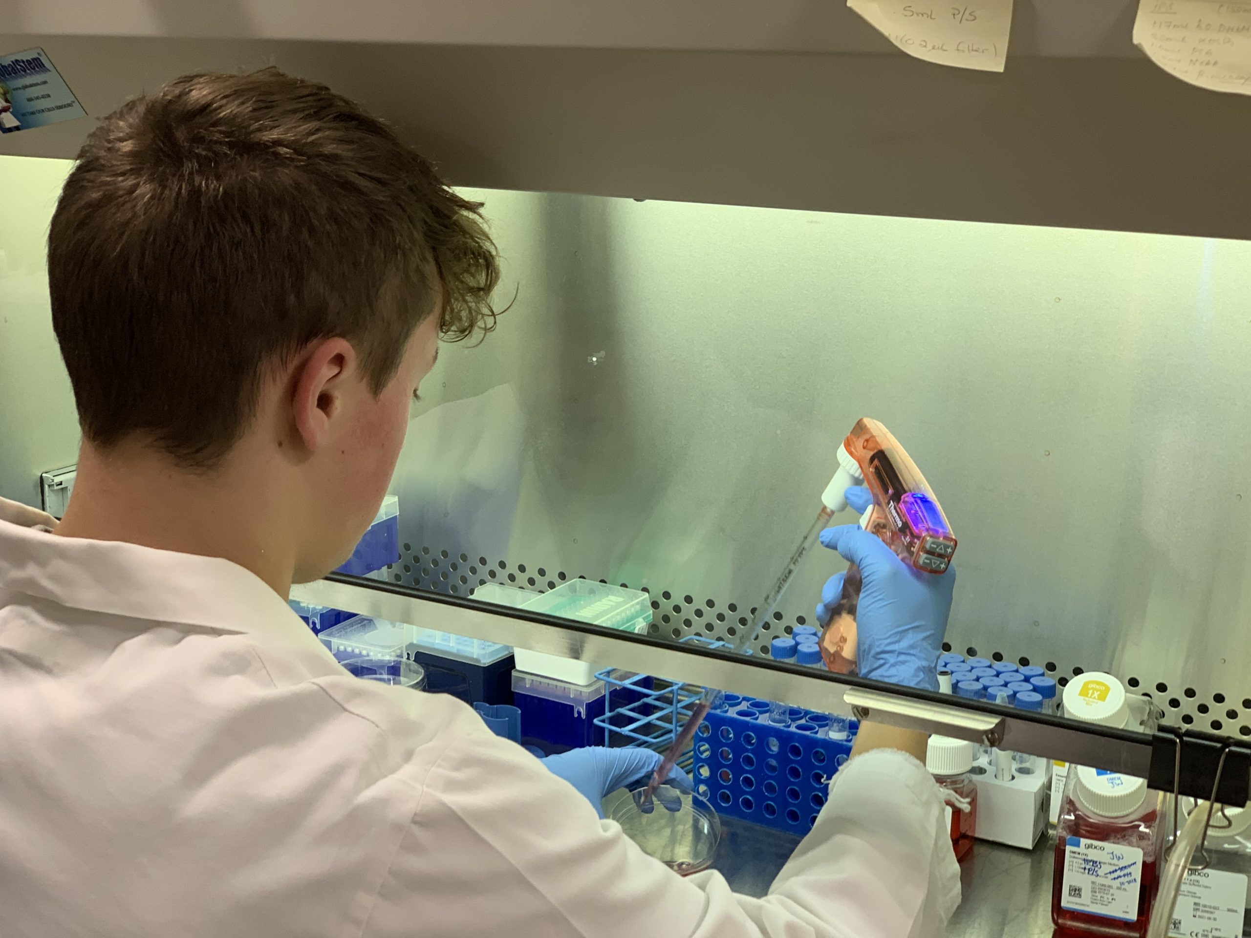 Researcher at Walker Lab