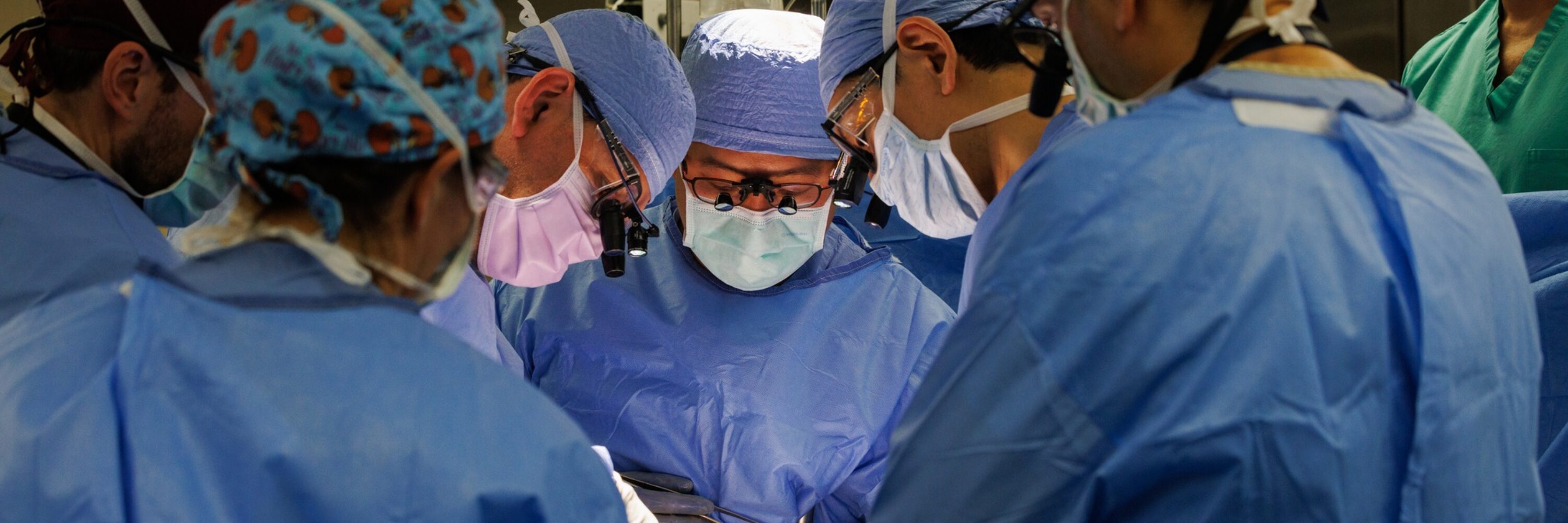 Mass General Performs Second Groundbreaking Xenotransplant