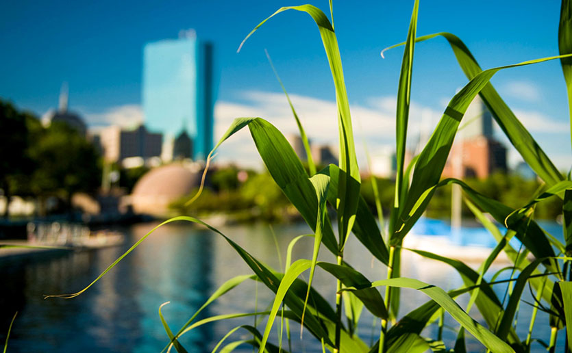 Mass General Launches Center for the Environment and Health