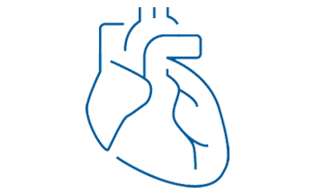 Line drawing of a heart