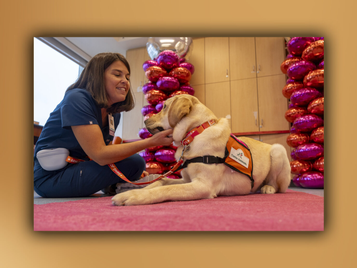 Kayce the Facility Dog: A New Member of the Care Team