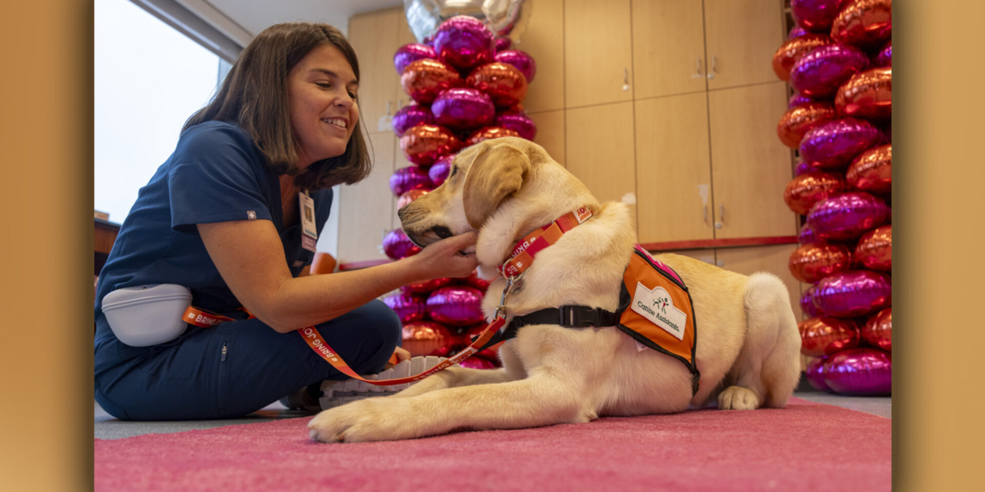 Kayce the Facility Dog: A New Member of the Care Team