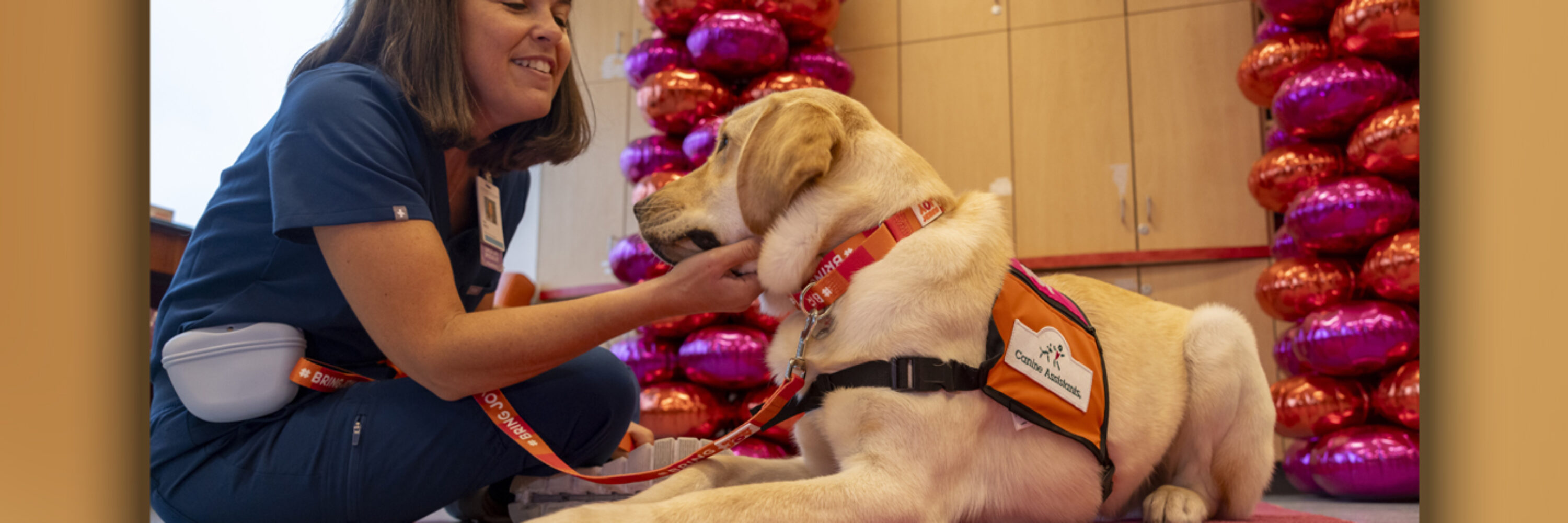 Kayce the Facility Dog: A New Member of the Care Team