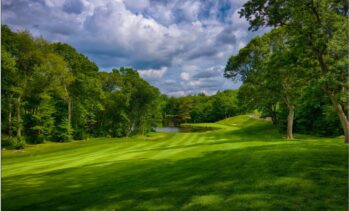 Tommy Fuss Team Fundraiser